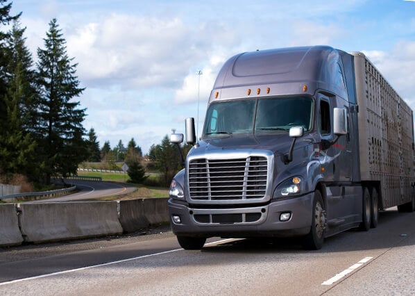 Freightliner Service